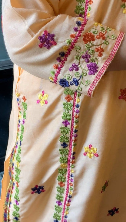 Jasmeen Multi Design EMB 2Pcs