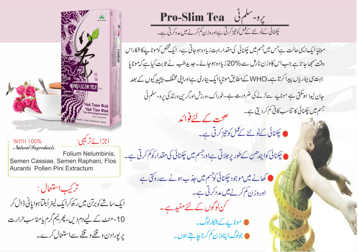 Green World Pro Slim Tea 4 G X 16 Sachets