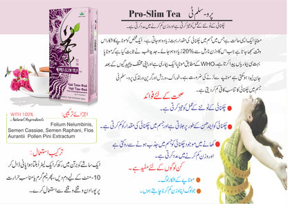 Green World Pro Slim Tea 4 G X 16 Sachets